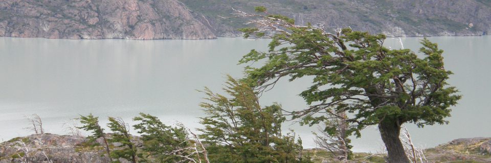 Torres del Paine – Jour 5 – Refugio Lago Pehoe